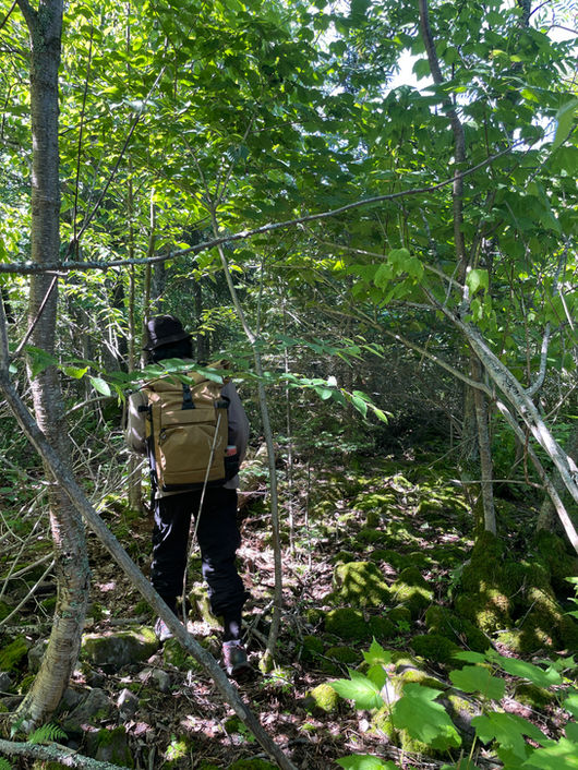 rabbit island studio insitu-web-67.jpg