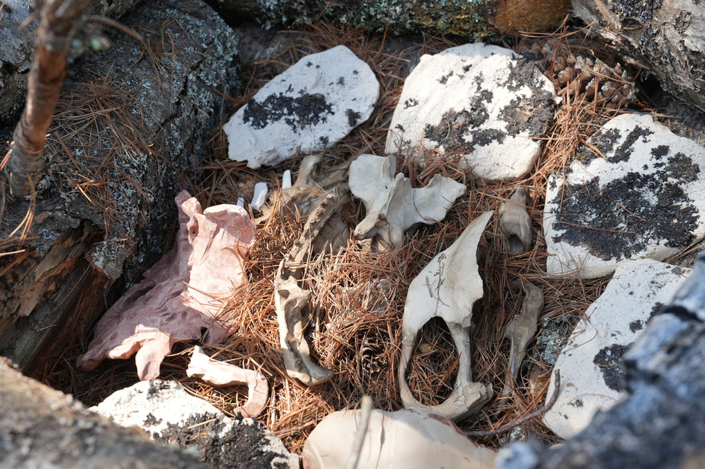 rabbit island studio insitu-web-22.jpg