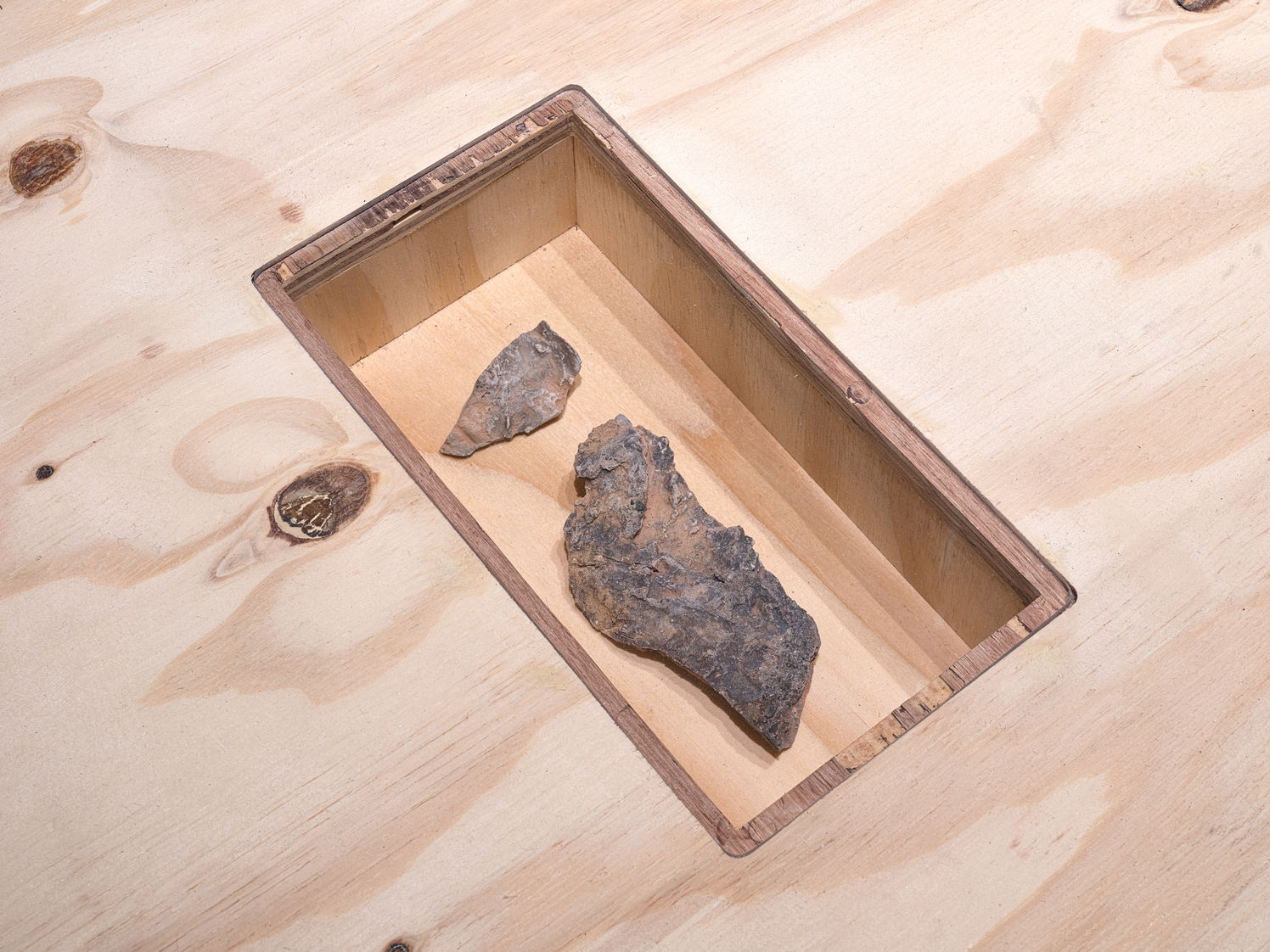 Messa in Luce-ISCP-2023-12.jpg