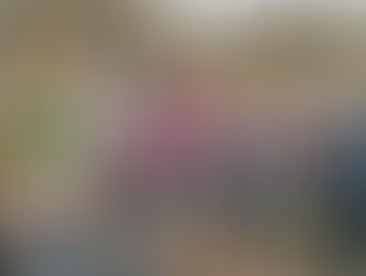 2026-03-27 MUZILLAC Pen Mur