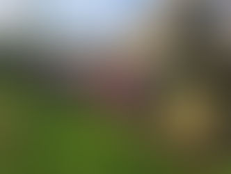 2025-12-10 ROCHEFORT-en-TERRE