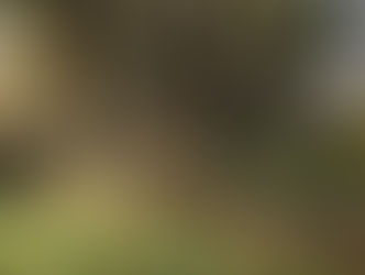 2025-10-28 SURZUR-Lamblat-Chapelle de Trémoyec