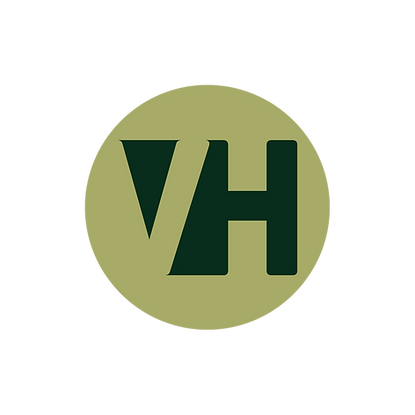 Visura Haus Logo (2).png