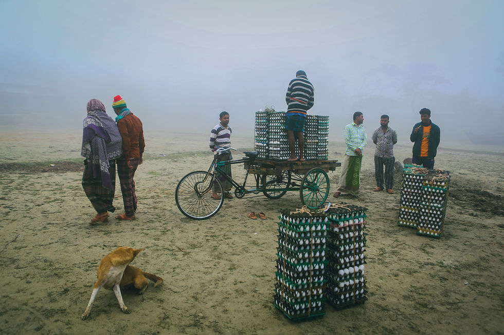 Foggy Morning in Dhaka
