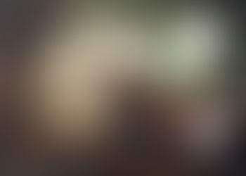 THIRTEENTH SUNDAY IN ORDINARY TIME JUNE 27, 2021