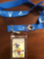 Disneyland Park Ticket, Lanyard, and Souvenir Pin