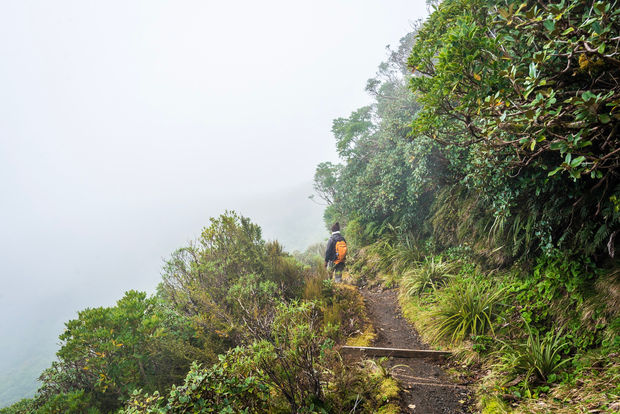 Mount Taranaki (2)