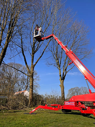 WhatsApp Image 2026-03-26 at 13.57.51.jpeg