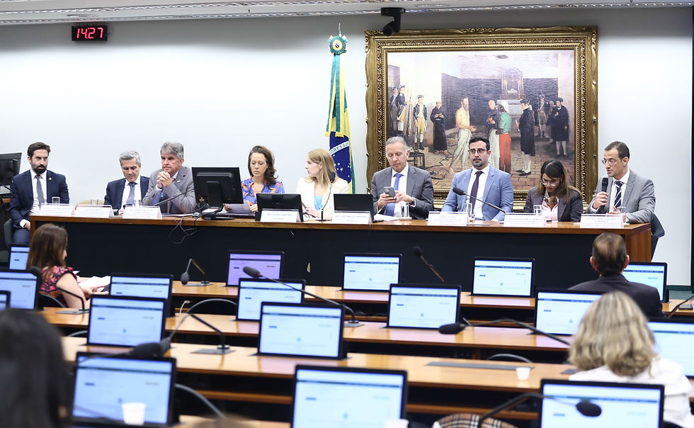 Vinicius Loures/Câmara dos Deputados