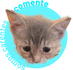 pin-COMENTE.png