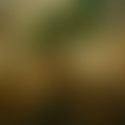 Hora de virar o jogo: o povo nas ruas pela soberania