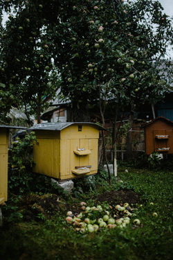 Hive to harvest