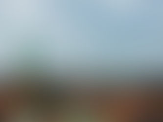 Why the Global Bee Community is Headed to Copenhagen — and What It Means for Africa