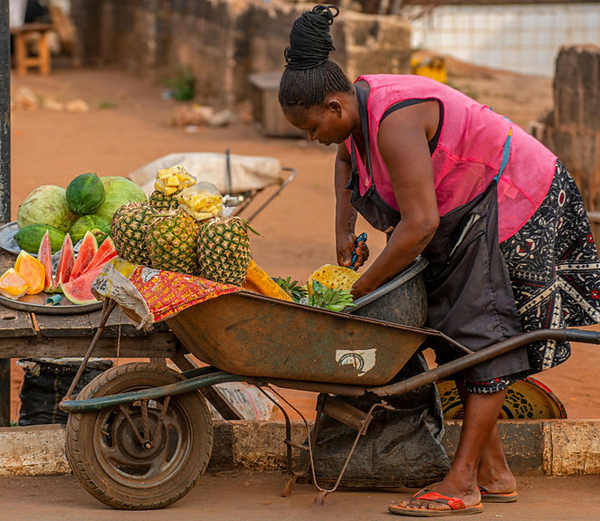WOMAN & WHEELBARROW.jpg