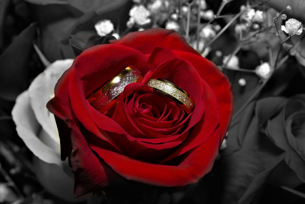 rings4