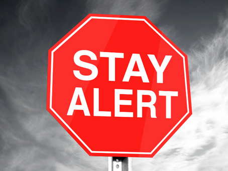 Dengue Fever Alert in Tampa Bay & Orlando