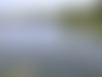 Native American History at Sylvester Manor