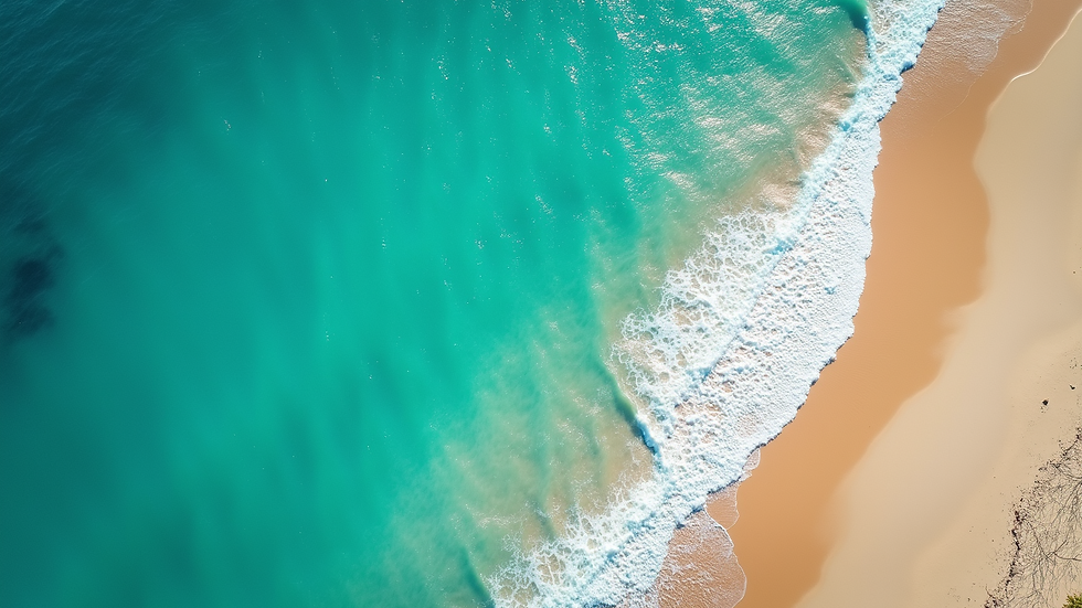 Aerial view of a vibrant beach with turquoise water