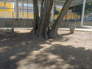 Espaço de convivência da Praça Nilze Mendes ganha novo gramado após indicação do nosso mandato
