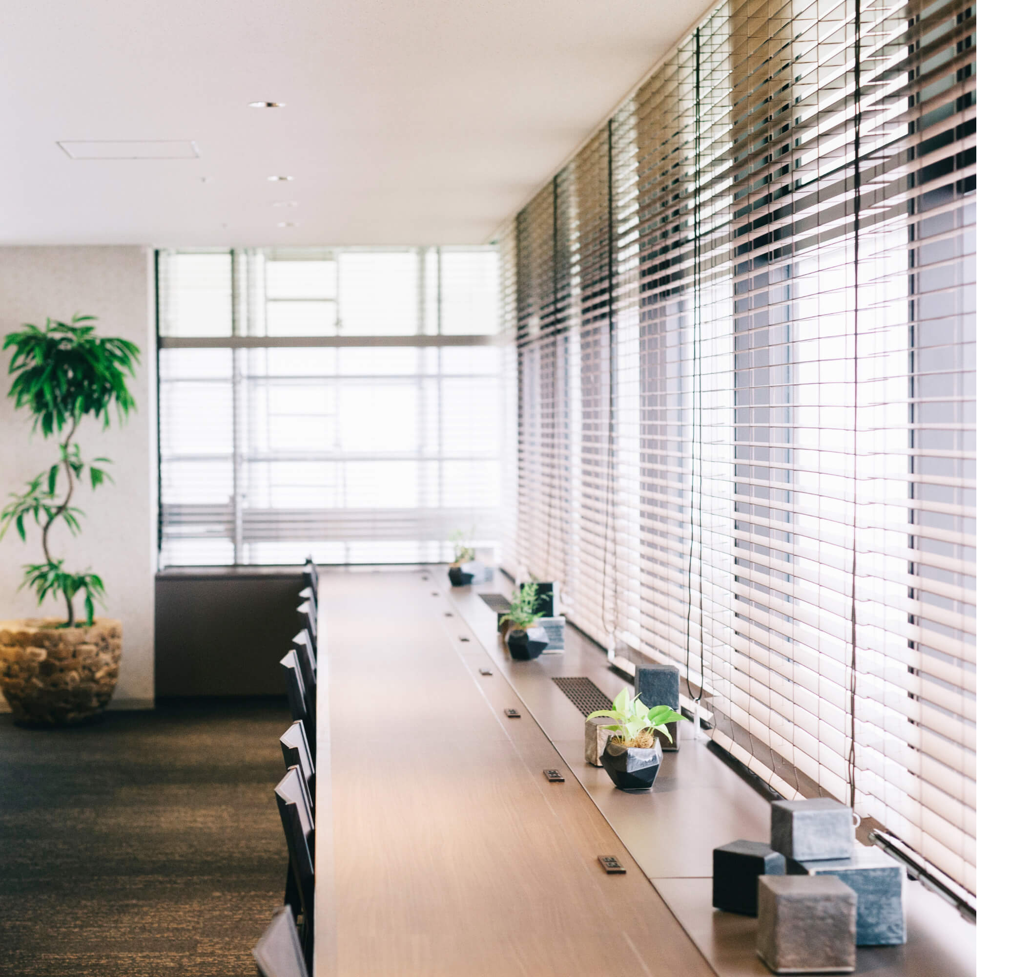 commercial_blinds.jpg