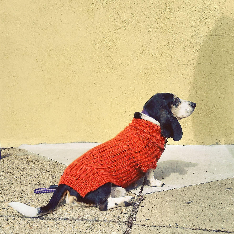 Delta the Sweater Girl