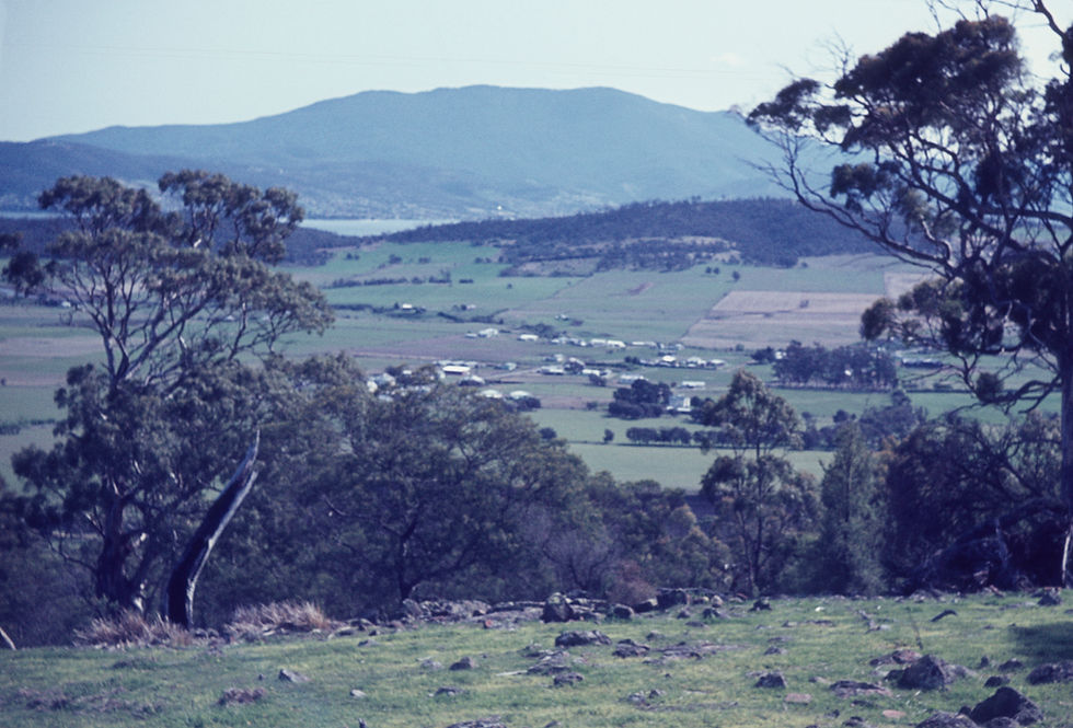 Droughty & South Arm Roads