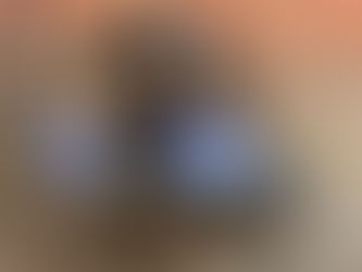 Sheffield Support dogs