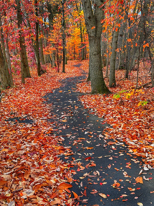 iStock-1803123414.jpg