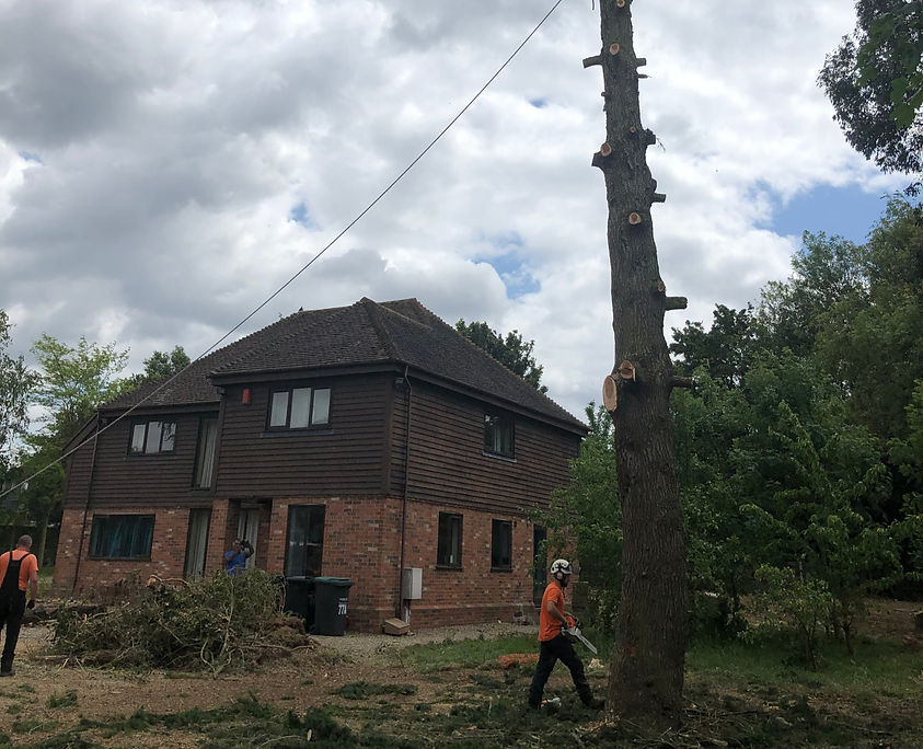 20200524_121649249_iOS (1)_edited.jpg