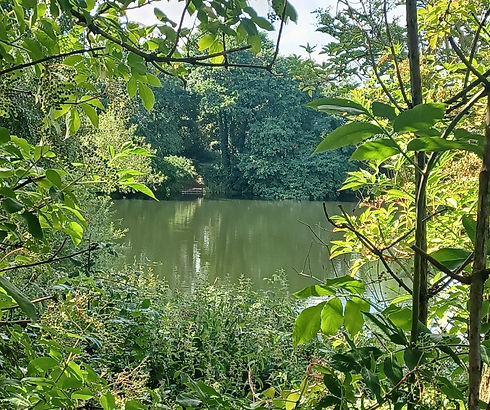 20240714_100616 (1)_edited.jpg