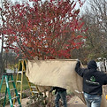 Winterization