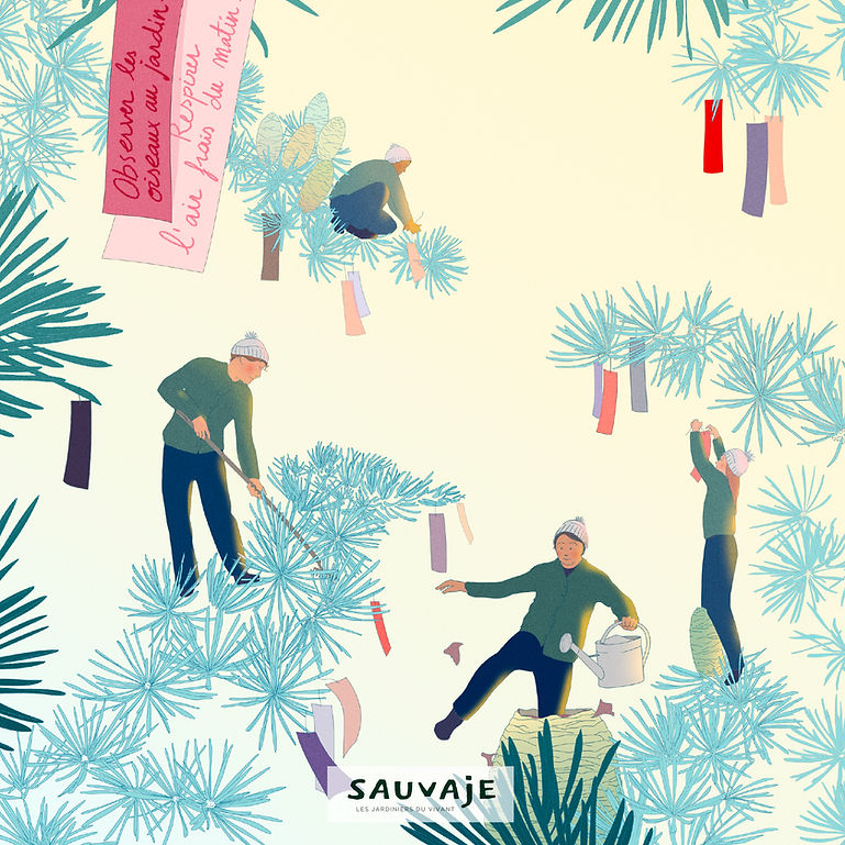 jardiniers cèdre bleu noël