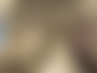 Bridal gown display at West Suburban Wedding Showcase