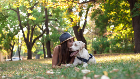 Woman and her dog in the grassy outdoors