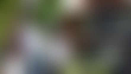 The Right Expert Will Guide You Through This Unprecedented Market