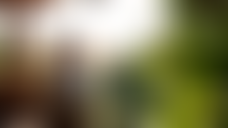 Is It Time To Put Your House Back on the Market?