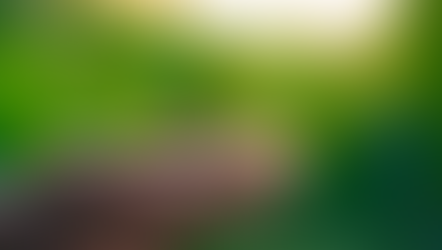 Saving for a Down Payment? Here’s What You Should Know.