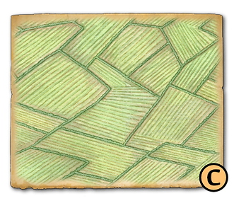 Terrain C.png