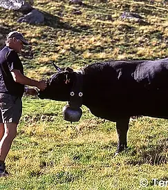 Ferme du Vieux Guide
