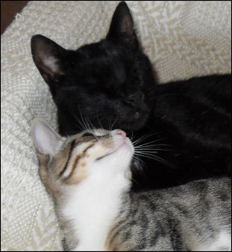 Bennet with Felix