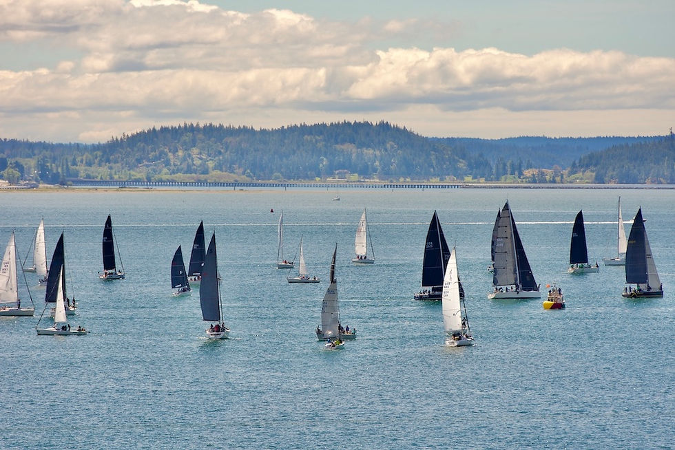 Cap Sante Regatta by Mary Lascelles