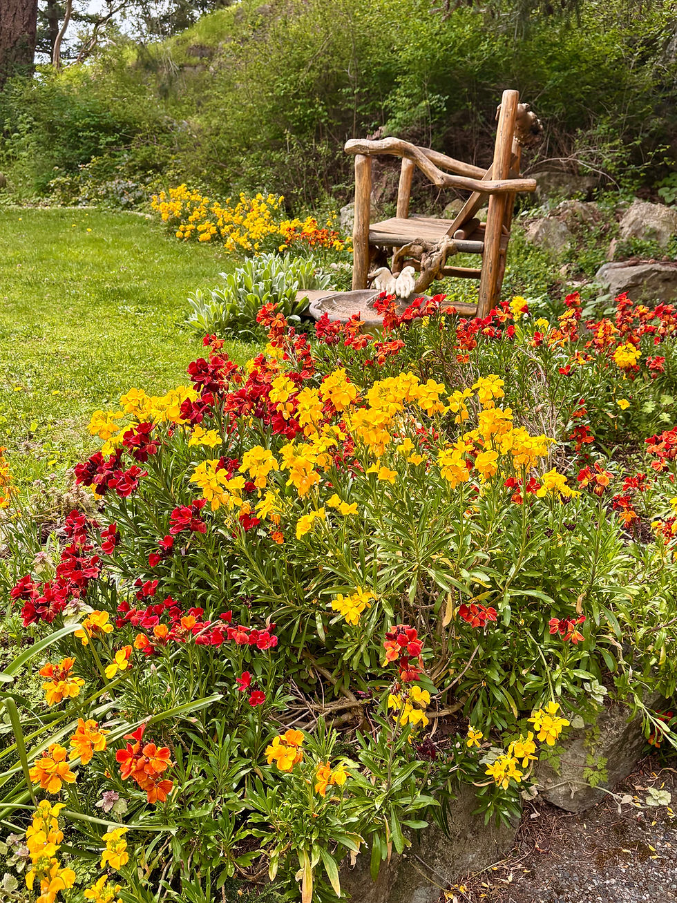 Garden Bliss  by Ellen Fitch