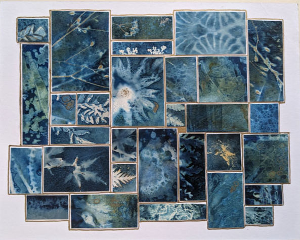Karen Lamphere's cyanotype creations featured in the Northwest Art Alliance video