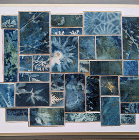 GUEMES ISLAND VIDEO PRODUCTION