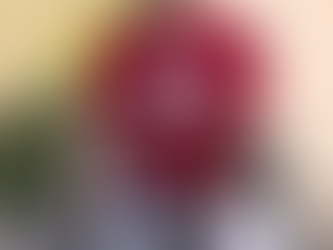 Rolling Through Life's Challenges: A Conversation with Jenna Udenberg