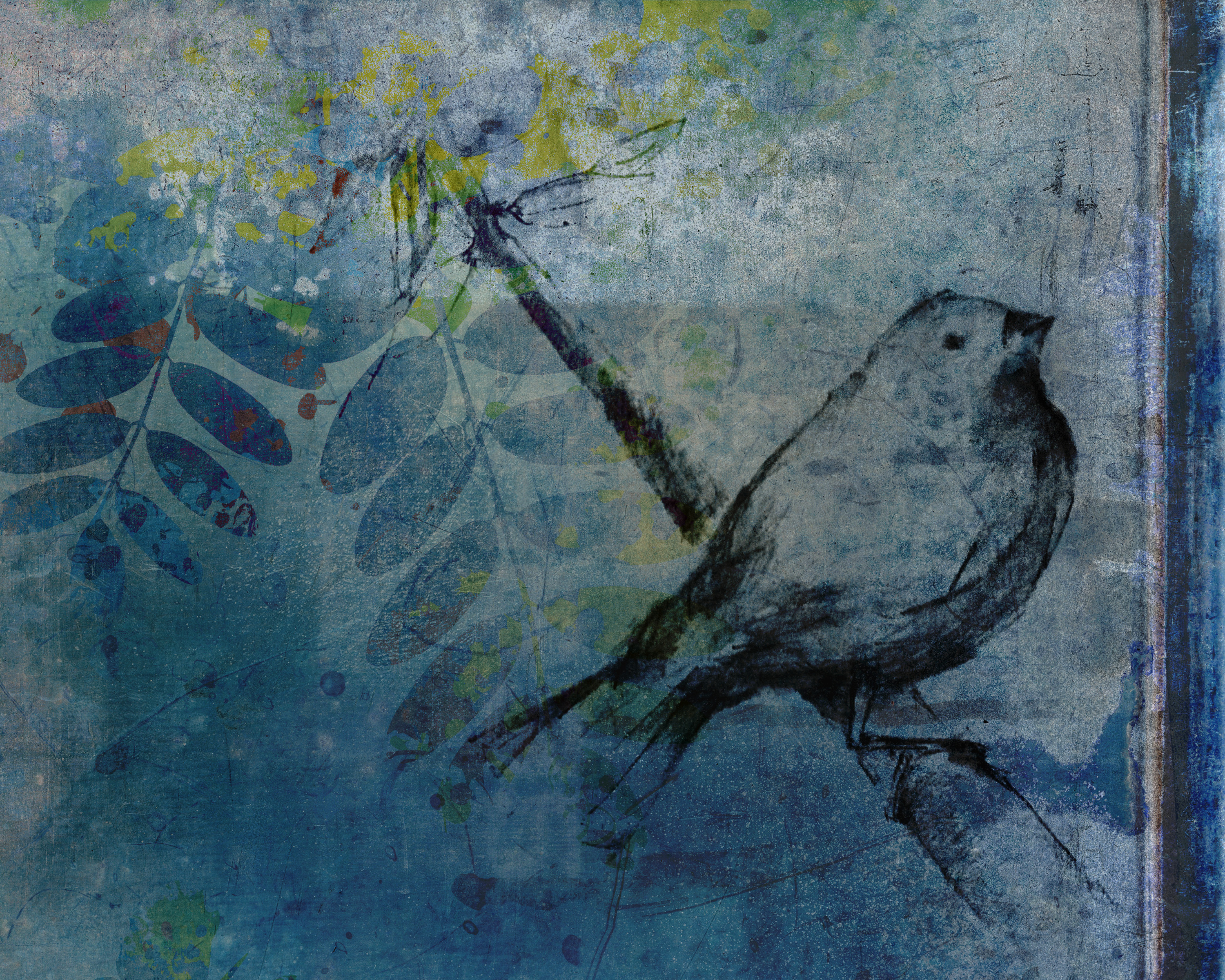 birdontree