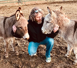 William with Donkeys