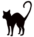 %EA%B3%A0%EC%96%91%EC%9D%B42_edited.png
