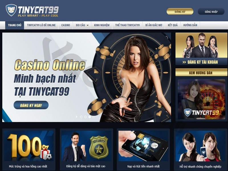 Thực Hư Chuyện Tinycat99 Lừa Đảo? Có Nên Tin Tưởng Nhà Cái Tinycat99? content media