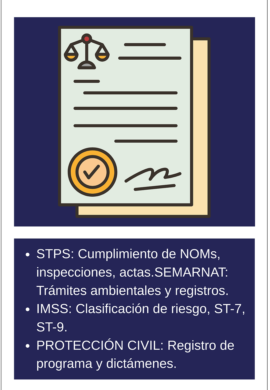 STPS Cumplimiento de NOMs, inspecciones, actas.SEMARNAT Trámites ambientales y registros.